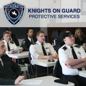 Knights On Guard Online Training Image